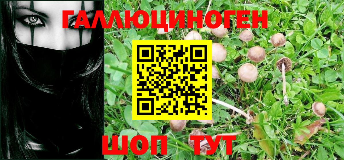 Псилоцибиновые грибы Psilocybe Лангепас